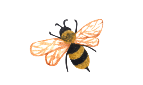 bee
